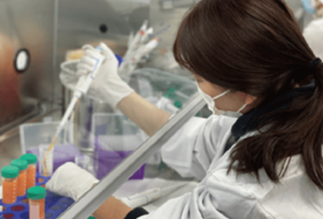 Stem Cells Application