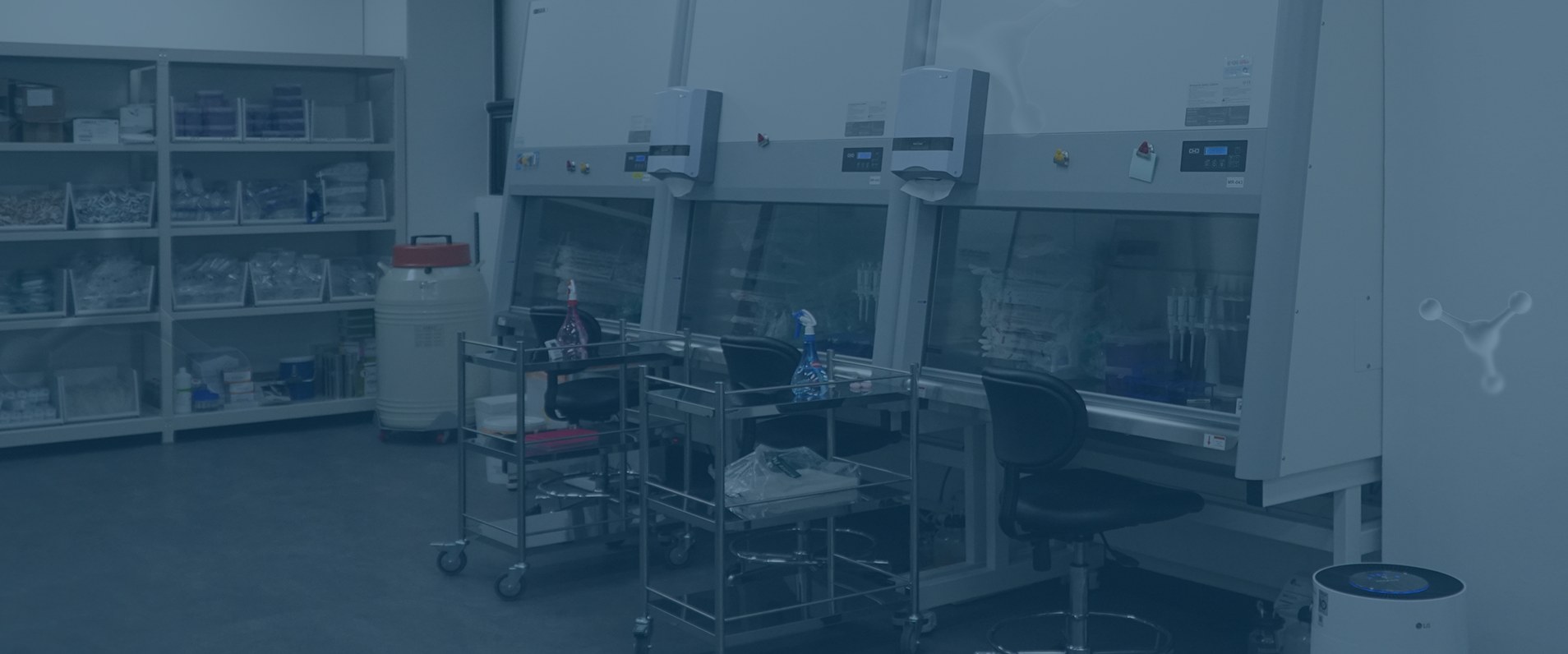 Análisis de resultados de liposucción con IA