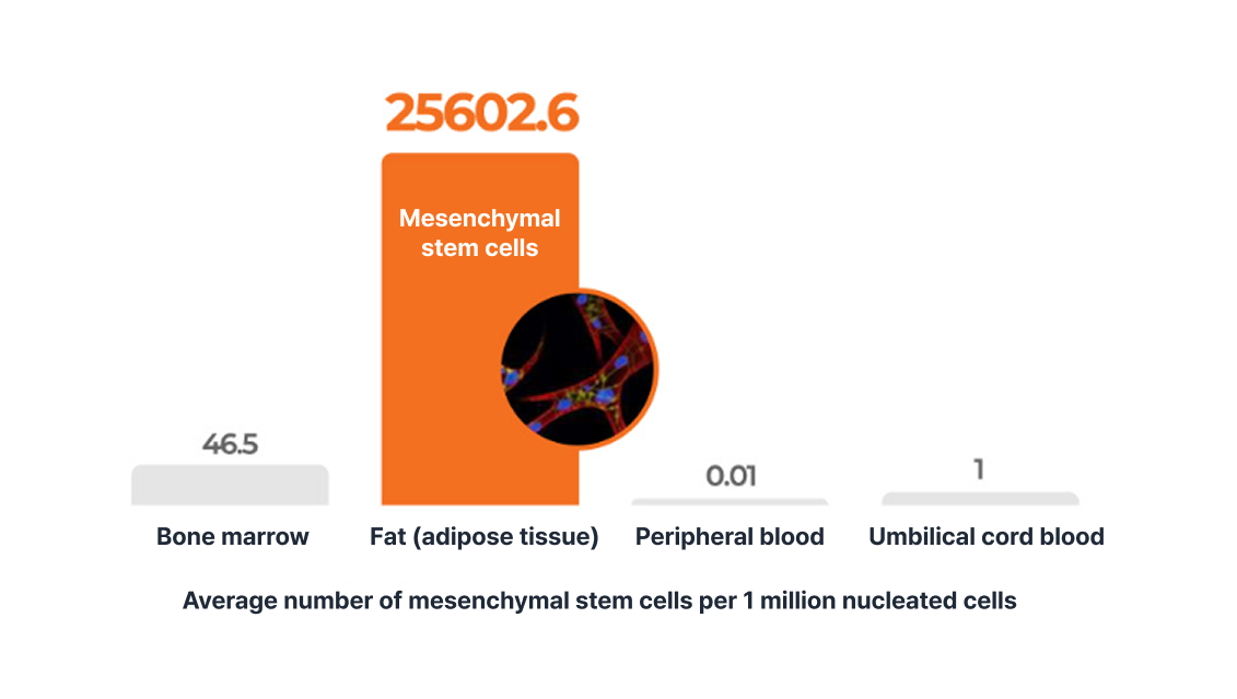 Stem Cells Comparison